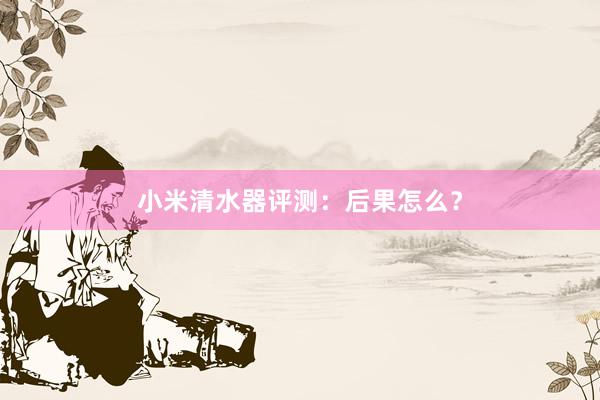 小米清水器评测：后果怎么？